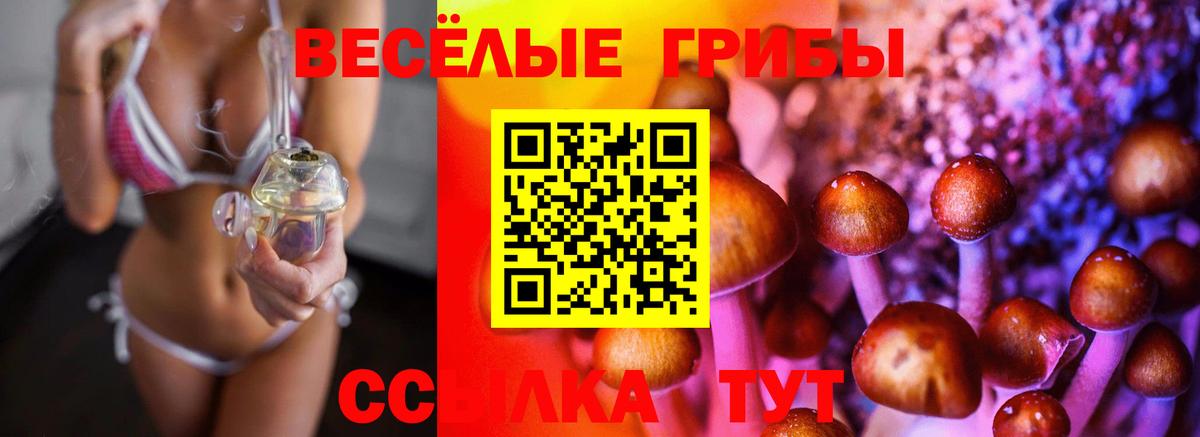 Галлюциногенные грибы прущие грибы Орехово-Зуево